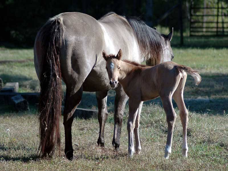 Click here to see the first image in this Gallery